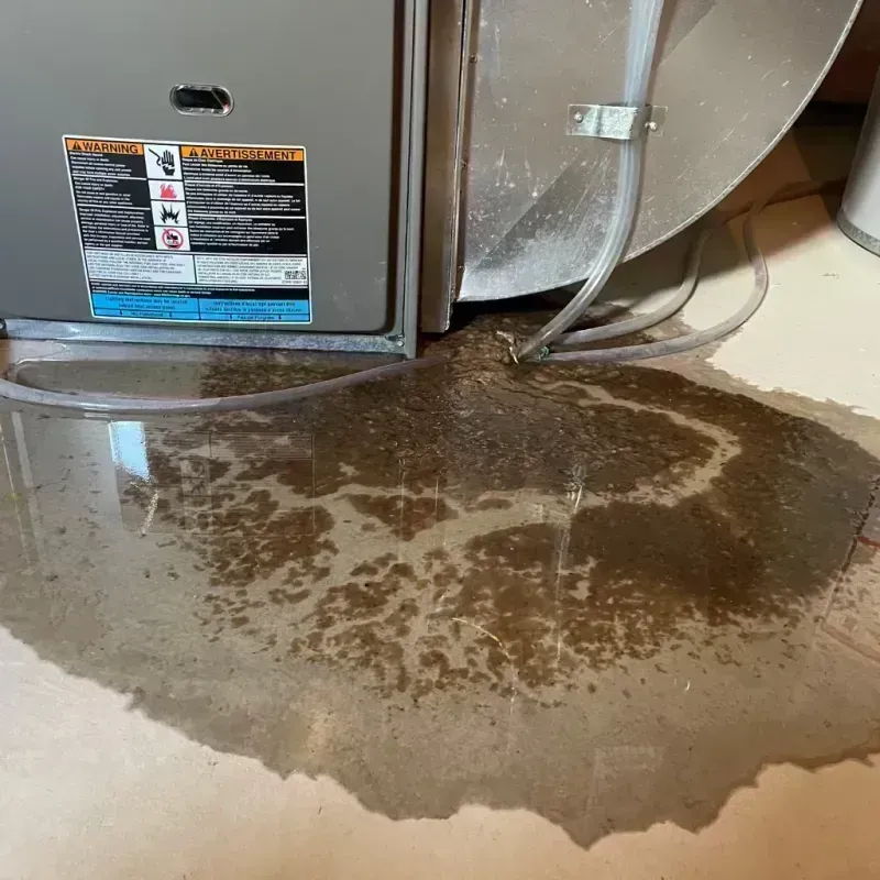 Appliance Leak Cleanup in Belvidere, IL